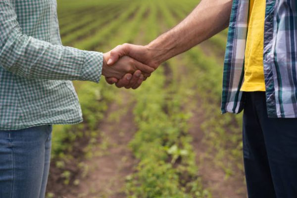 Agreement. Completing a contract that is the end of a long teamwork. Good work, good business. Decorative roses producer and a business partner handshaking on the field.